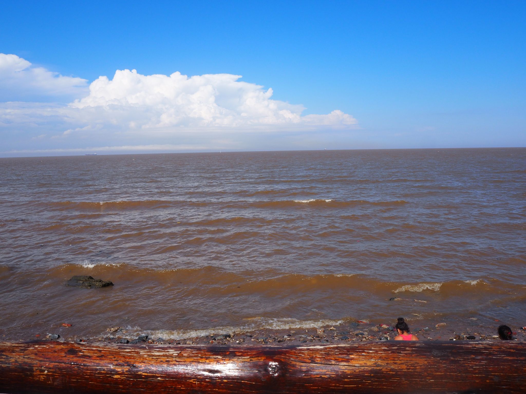 Río de la plata (Giulia testi)