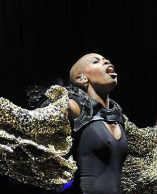 skanansie-concerti