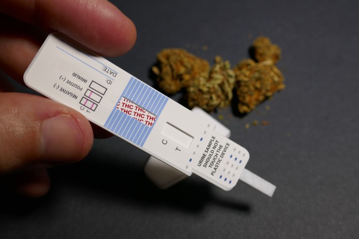 Test anti droga THC