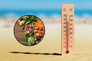 Termometro sulla spiaggia e verdure