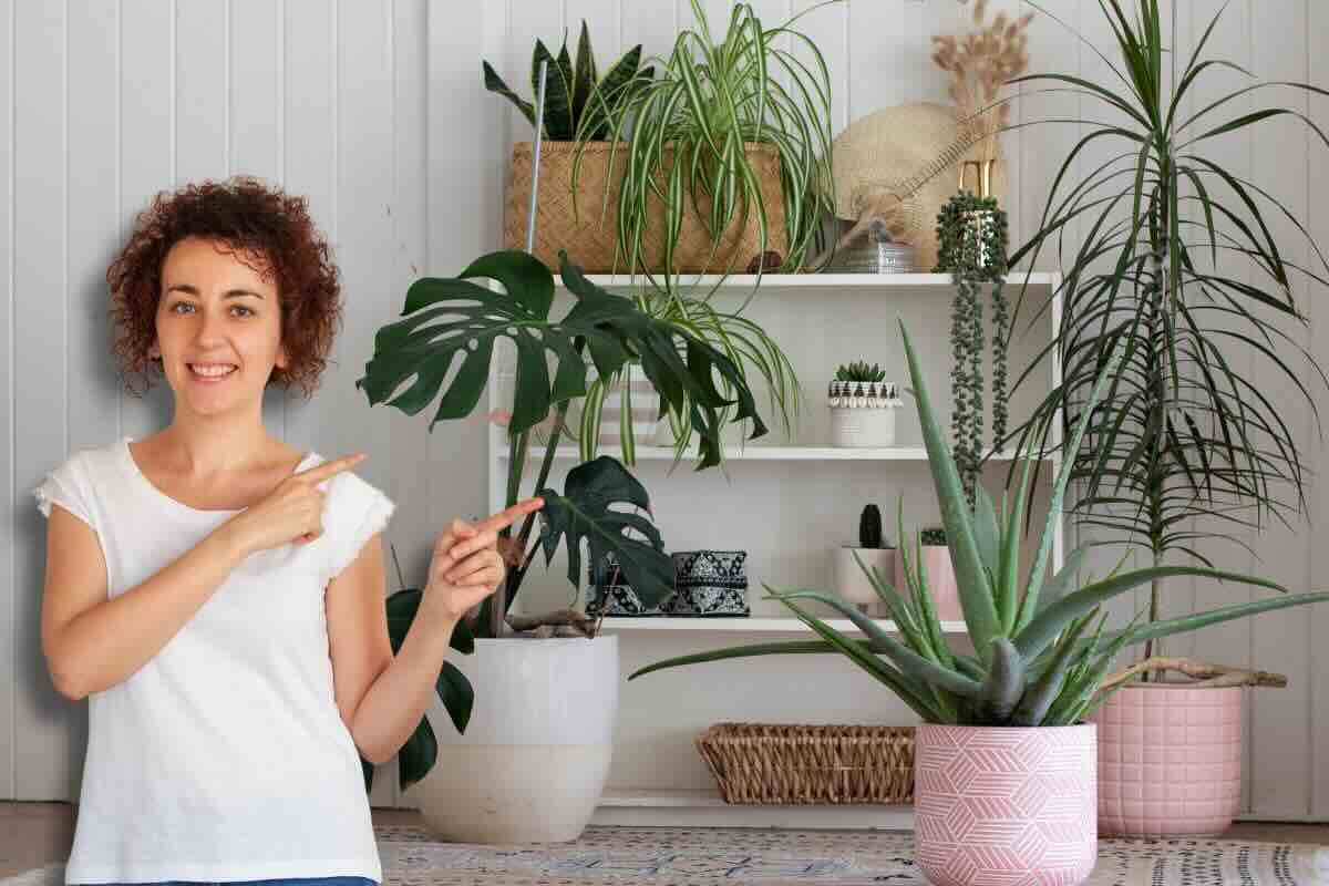 Donna indica scaffale con piante in casa