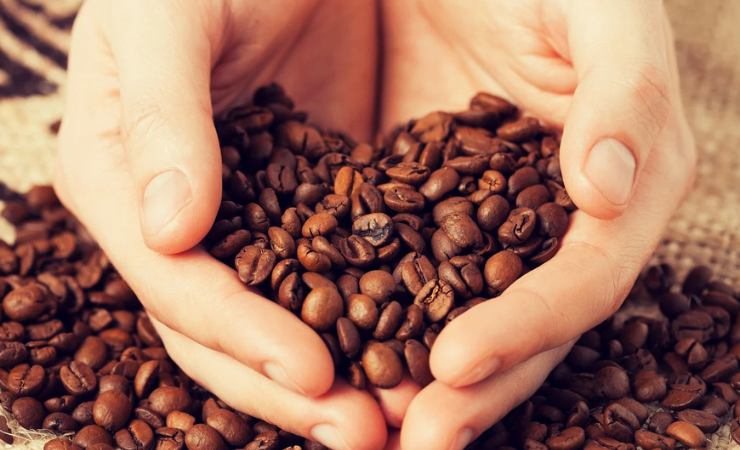 Chicchi di caffè in mano