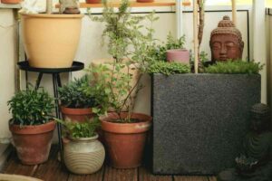Vasi con piante sul balcone